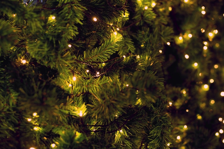 Photo christmas lights