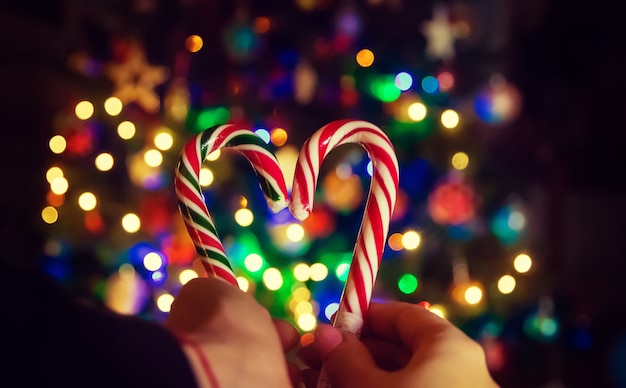 Christmas lollipops on the background of the Christmas tree. Selective focus. people.