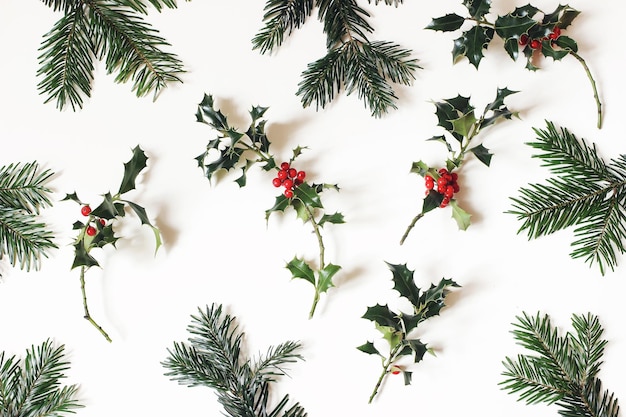 Motivo floreale naturale di natale composizione di bacche di agrifoglio rosse e rami di abete verde isolati su sfondo bianco della tavola decorazione naturale invernale vista dall'alto piatta festiva botanica