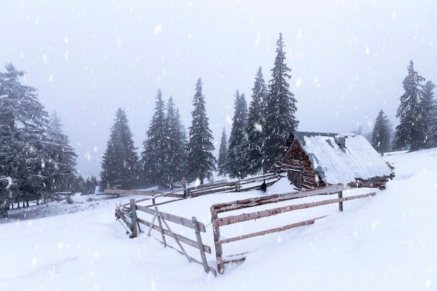 クリスマスと新年の背景は新雪で覆われた冬の木と小屋です