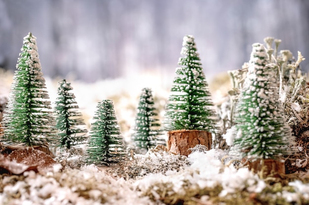 Christmas or New Year greeting card with group of decorative Christmas trees in row on snow covered moss with winter forest at background. Xmas holidays atmosphere