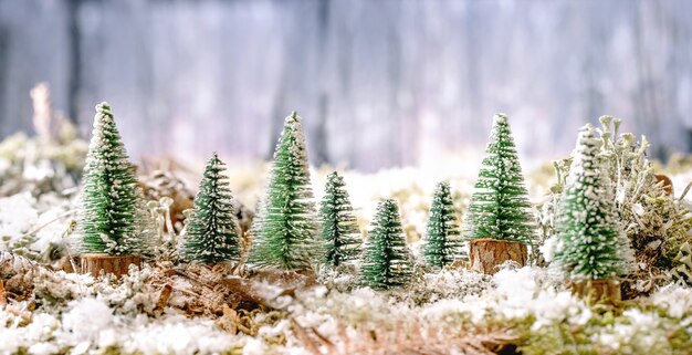 Christmas or New Year greeting card with winter forest