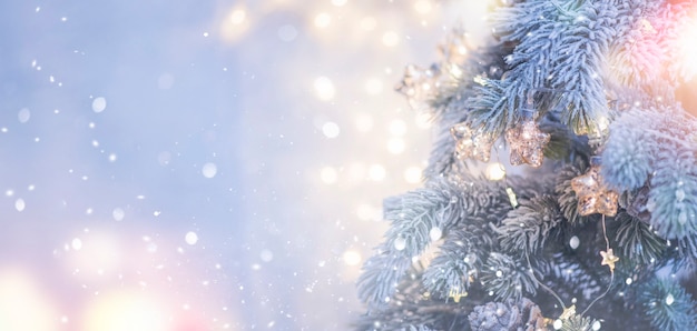 Christmas and New Year holidays background. Christmas tree with light and blurred background