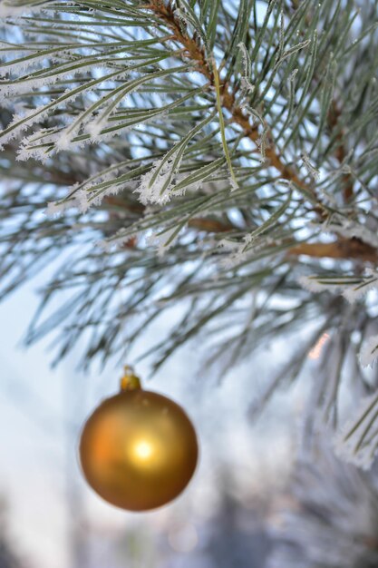 クリスマスと新年