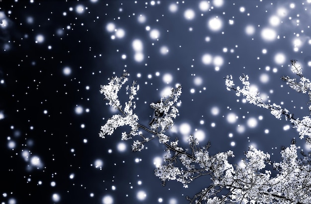 Foto natale capodanno sfondo floreale nero biglietto di auguri design fiore albero e neve glitter come sfondo di promozione di vendita stagione invernale per marchio di bellezza di lusso