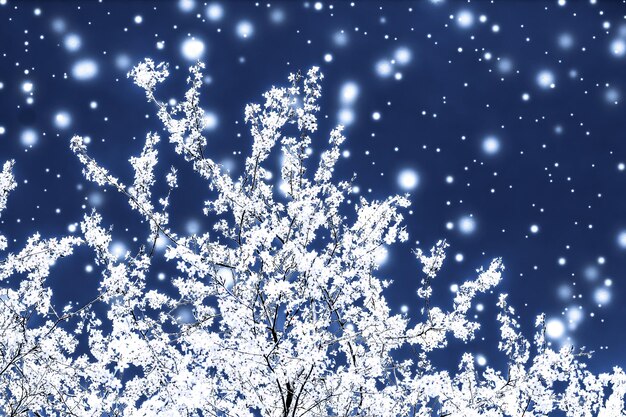 Foto natale capodanno sfondo floreale blu vacanza card design albero di fiori e neve glitter come sfondo di promozione di vendita di stagione invernale per il marchio di bellezza di lusso