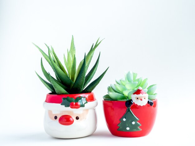 Christmas object concept, green succulent plants in cute Santa Claus ceramic pots