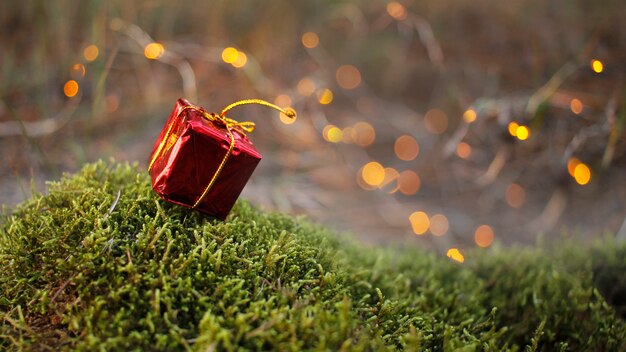 Christmas ornament gift box on natural natural moss in the forest with bokeh. 