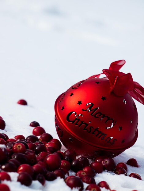 Photo christmas ornament in the snow  cranberries.