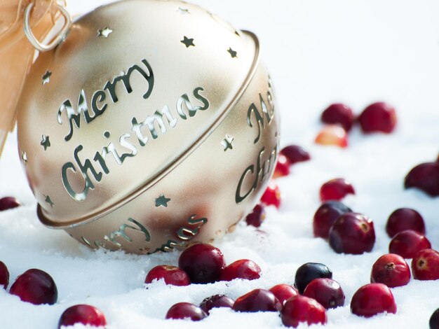 Christmas ornament in the snow with cranberries.