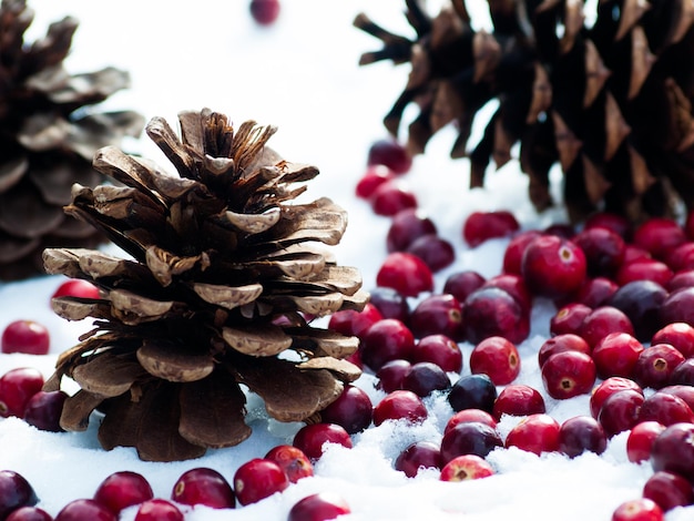 Christmas ornament in the snow with  cranberries.