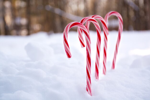 Christmas peppermint candy canes with snowfall background space for text