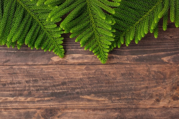 Christmas pine branch on wooden table background