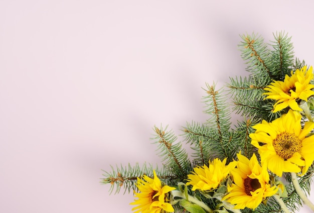 Christmas pine branches and red roses background