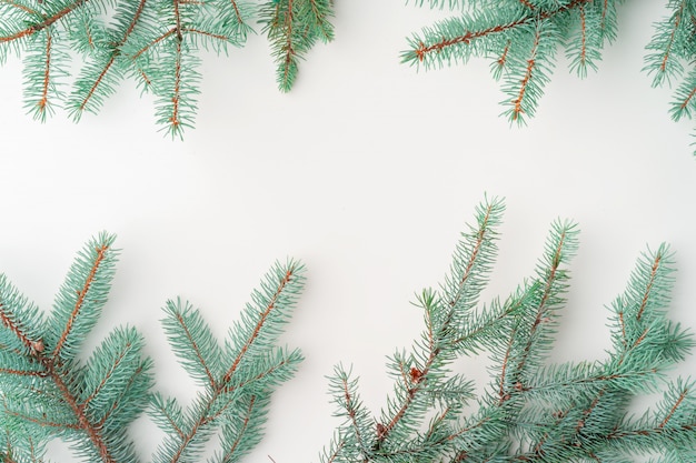 Christmas pine branches