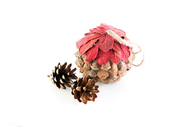 Photo christmas pine cone