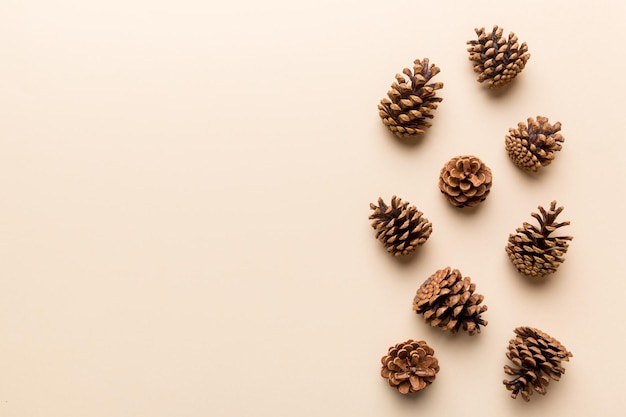 Christmas pine cones on colored paper border composition. Christmas, New Year, winter concept. Flat lay, top view, copy space