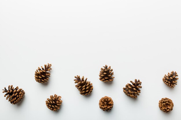 Christmas pine cones on colored paper border composition Christmas New Year winter concept Flat lay top view copy space