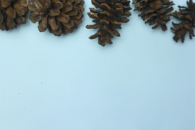 Photo christmas pine cones on white paper border composition. creative flat lay, top view design