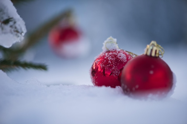 아름 다운 화창한 겨울 날에 신선한 눈 배경에서 크리스마스 빨간 공 장식