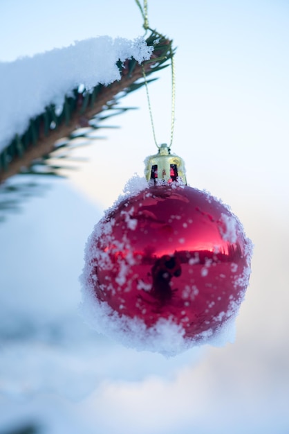 美しい冬の日の日没で新雪に覆われた松の木のクリスマスの赤いボール