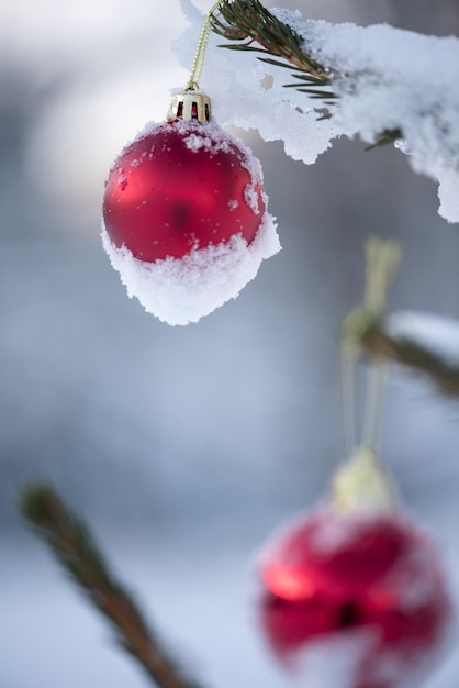 美しい冬の日の日没で新雪に覆われた松の木のクリスマスの赤いボール