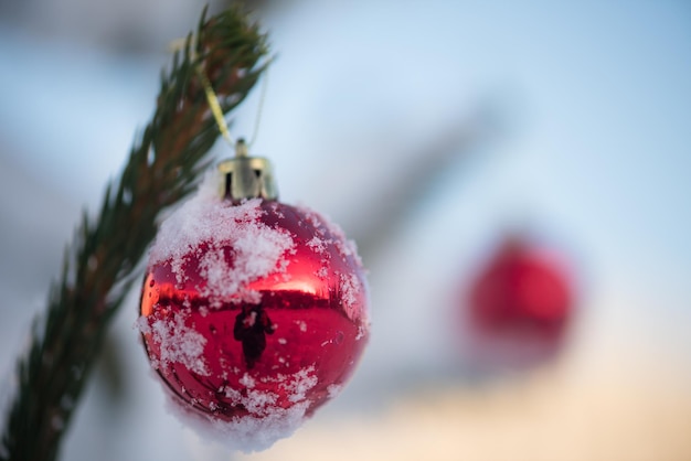 Photo christmas red balls  on pine tree covered with fresh snow on beautful winter day sunset