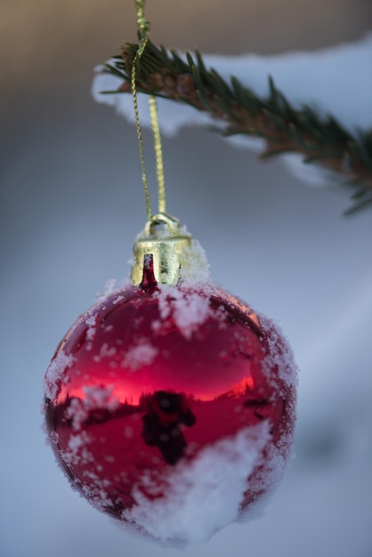 新鮮な雪で覆われた松の木のクリスマスの赤いボール