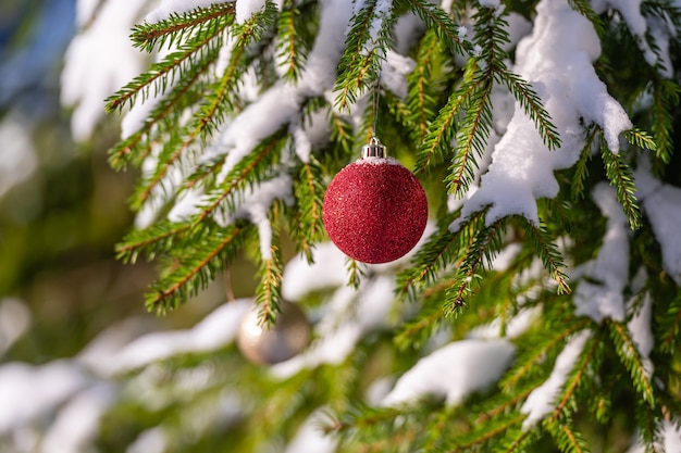 Christmas red bauble hanging on Christmas tree branch covered with snow Selective focus