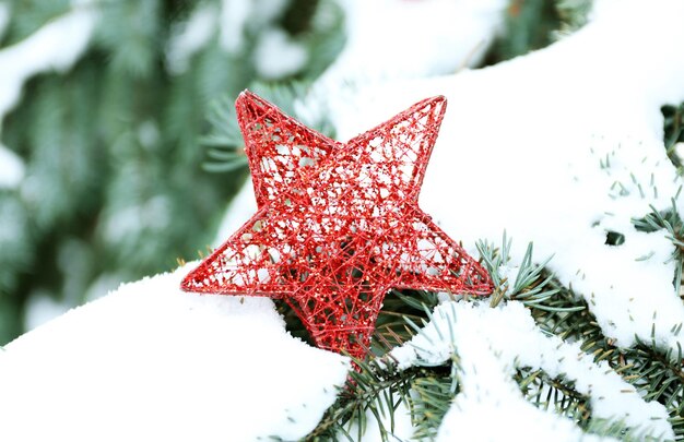 雪に覆われたモミの木の枝にクリスマスの赤い星