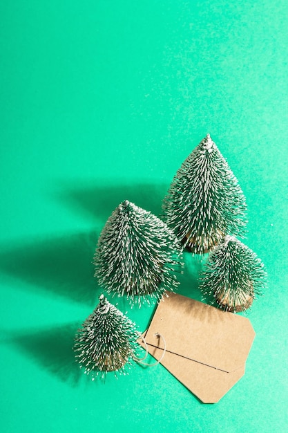 Foto concetto di vendita di natale su sfondo turchese. etichetta decorativa dell'albero di abete e della carta. simbolo tradizionale del nuovo anno. una luce dura alla moda, un'ombra scura. lay piatto, mockup, modello, vista dall'alto