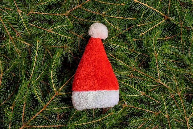 Foto cappello rosso di babbo natale di natale su uno sfondo di rami di abete, albero di natale