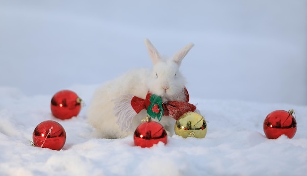 Christmas, Santa Claus white rabbit in the snow