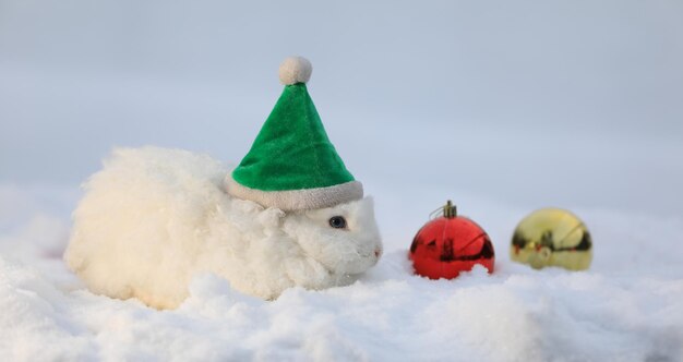 クリスマス、雪の中でサンタ クロースの白いウサギ