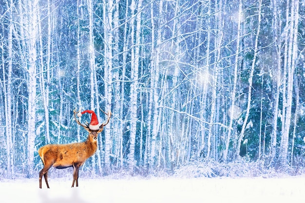 クリスマスシーズンの芸術的な幻想的な冬のイメージ。吹雪の間に冬の雪に覆われた森に対してサンタの帽子をかぶった高貴な鹿。