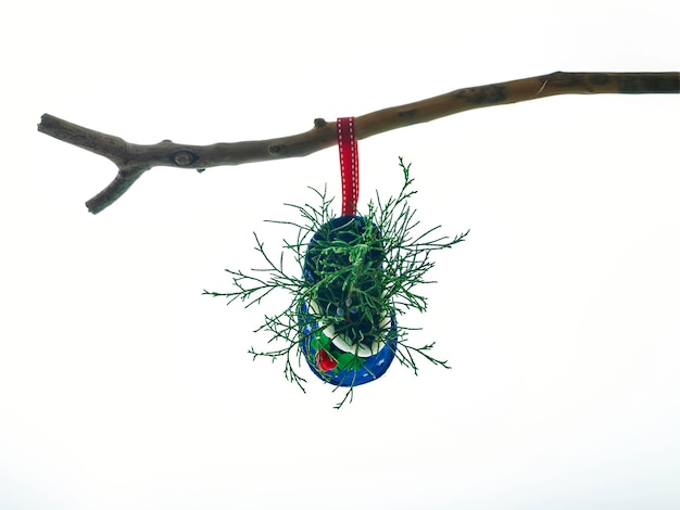 Christmas slippers with juniper branches