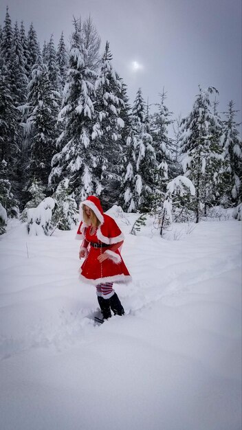 Christmas snowshoe