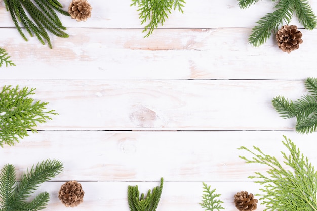 Christmas spruce branches on wooden background concept