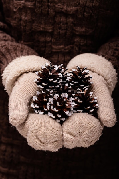 Foto coni di abete di natale nelle mani delle donne decorazioni natalizie