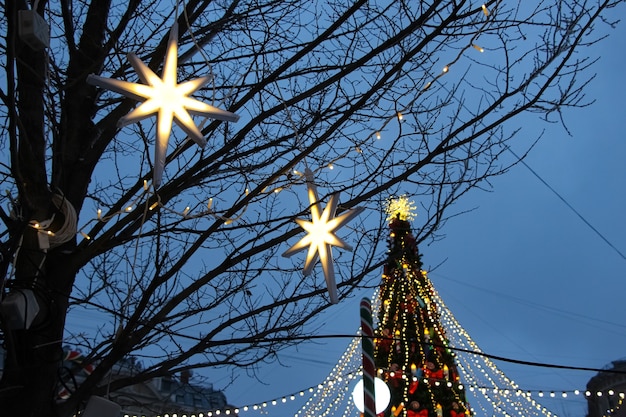 Christmas star lights Christmas lights garland and Christmas tree against the evening sky