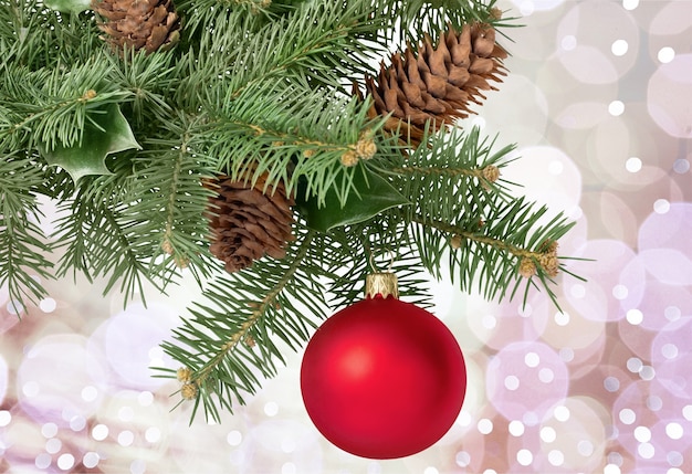 モミの木の枝にクリスマスのおもちゃ、白で隔離