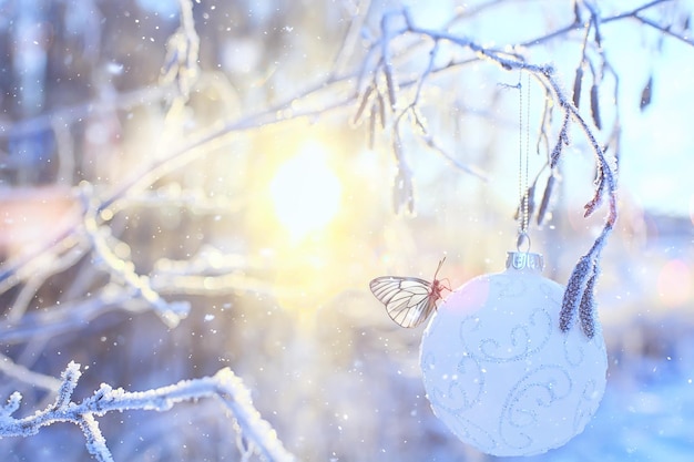 写真 クリスマスのおもちゃの自然の装飾の背景屋外