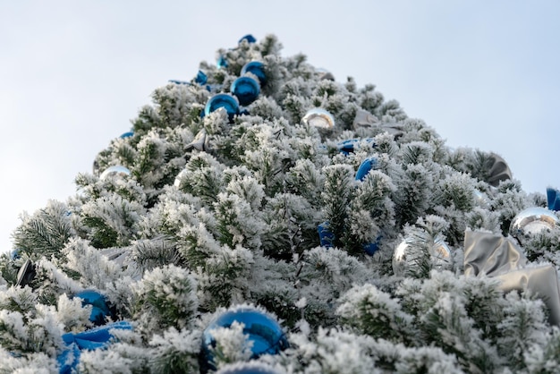 Christmas tree against clear sky