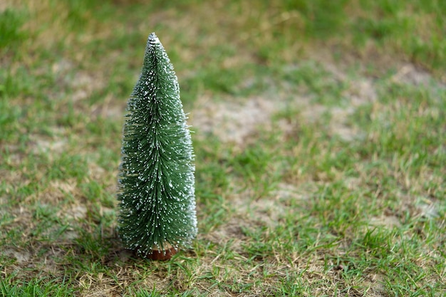 クリスマス ツリーの背景とぼやけた背景に飾られたクリスマス ツリー