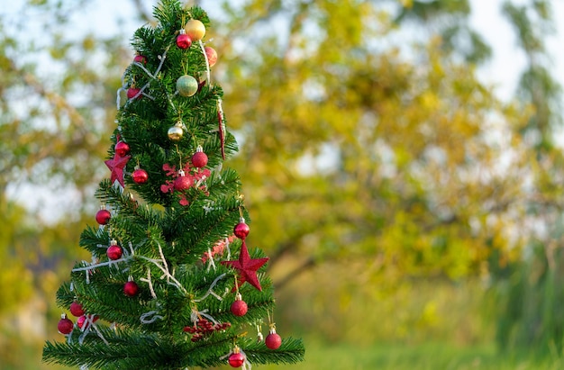 クリスマス ツリーの背景とぼやけた背景に飾られたクリスマス ツリー