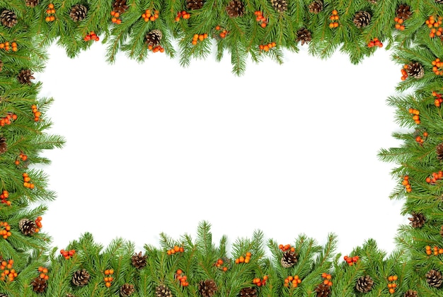 Photo christmas tree background isolated on white background
