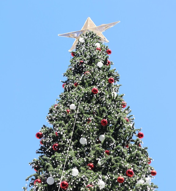 Foto palla di albero di natale