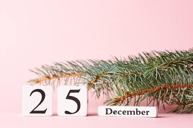 Christmas tree branch and calendar with date 25 december on pink