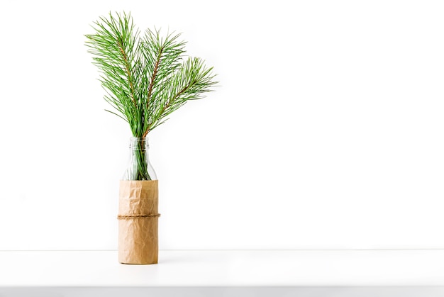 Photo christmas tree branch in vase