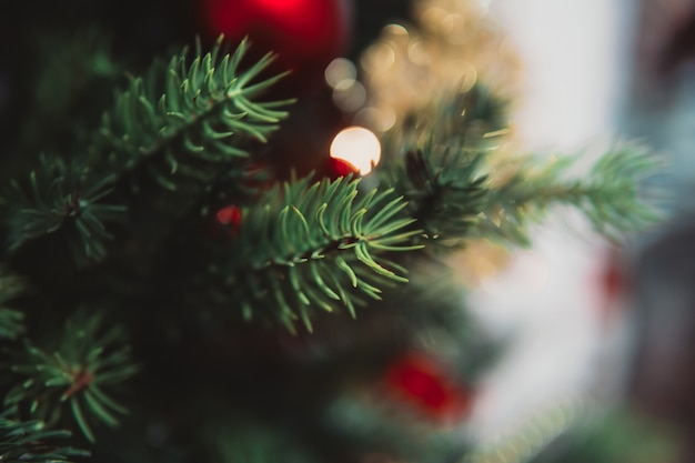 Ramo di albero di natale con i giocattoli